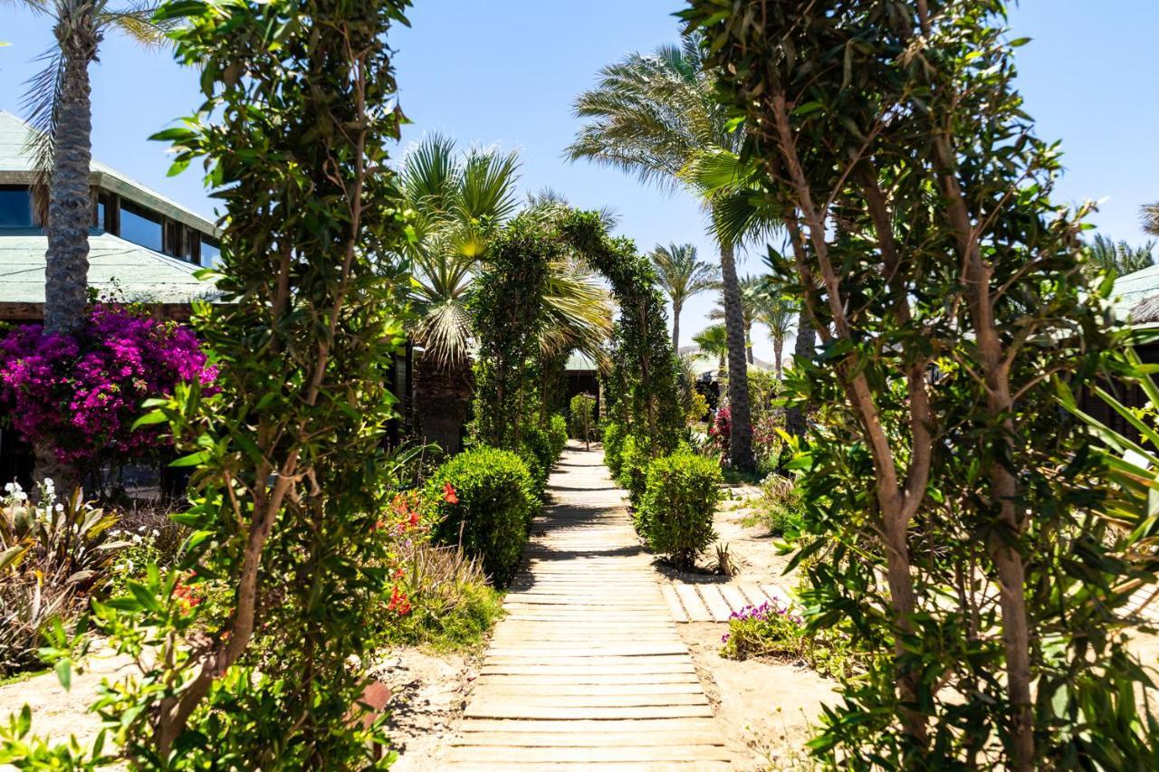 Abu Dabbab Lodge Экстерьер фото